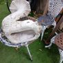 fish pedestal plant stand Image 5