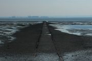 F E N N E S Z  |  Black Sea