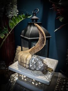Rams Horn Smokey Quartz Soldered Decoration Taxidermy Ethically Sourced
