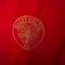 Galty Celtic Jersey size L Perfect condition Postage included Image 2