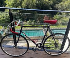 Race bike/Road bike (Vintage bike)