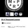 New jackson - Of a thousand leaves 12" vinyl Image 4