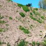Topsoil Image 2