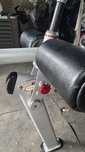Nautilus Decline Bench