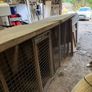 Very large dog kennel/Dog run Image 2