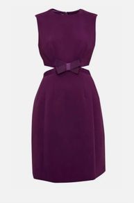 Ted Baker Mini Dress