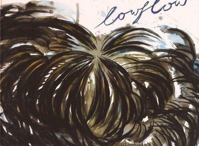 Thomas Fehlmann   |  Lowflow