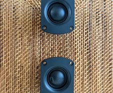Free Vifa tweeters (possibly non-working)