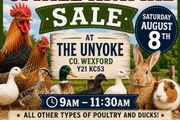 Poultry, Bird and animal sale Aug 8th