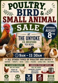 Poultry, Bird and animal sale Aug 8th