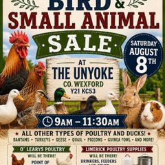 Poultry, Bird and animal sale Aug 8th