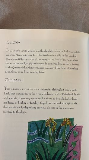 Brand New Vintage Irish Names Book
