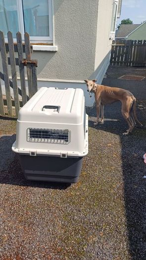 Dog Travel Crate - XL