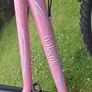 Monaco 24" Pink Mountain Bike Image 10