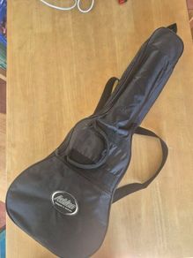 Ashton 3/4 Size Acoustic Guitar w/ Carry Bag