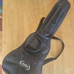 Ashton 3/4 Size Acoustic Guitar w/ Carry Bag