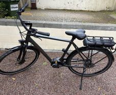Trek Bosch District +1