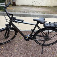 Trek Bosch District +1