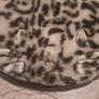 Cat Single Foot Slipper Image 2