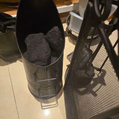 Fire guard and coal bucket and essentials