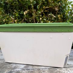 self watering