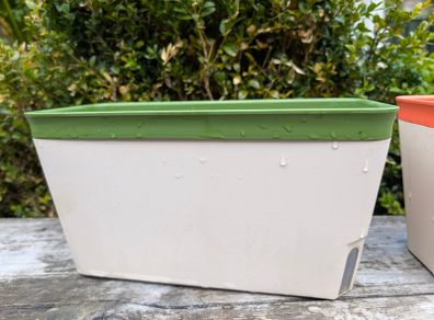 self watering