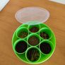 Spice Box Image 7