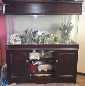 Fish tank and cabinet