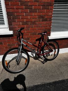 Giant Bike
