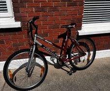 Giant Bike