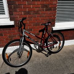 Giant Bike