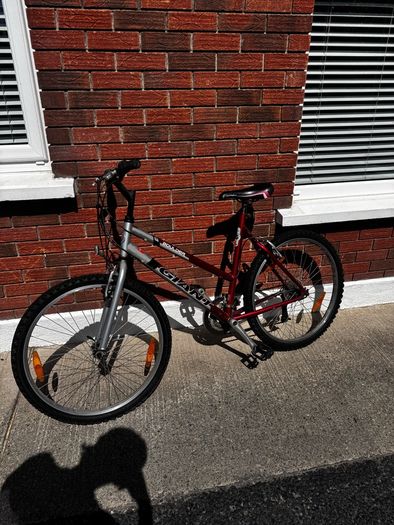 Giant Bike
