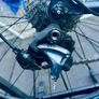 Bianchi Sempre Pro Carbon Road Bike Image 5