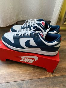 Nike Dunk Low Retro Valerian Blue UK13 / EU48.5