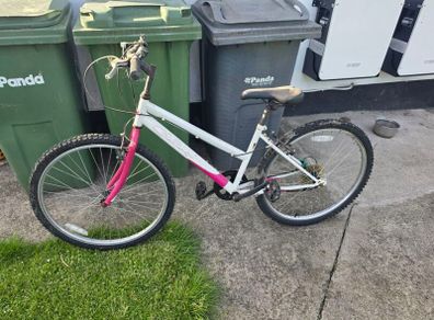 bikes