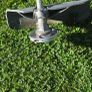 Honda strimmer Image 6