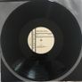 Rosaline Joyce - This Time ( I Feel Love) / Try Image 4