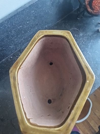 vintage bonsai planter