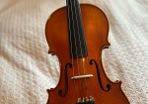 Violin