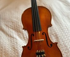 Violin