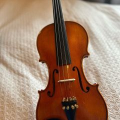 Violin