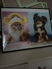 Puzzles in frame