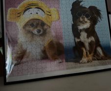 Puzzles in frame