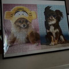 Puzzles in frame