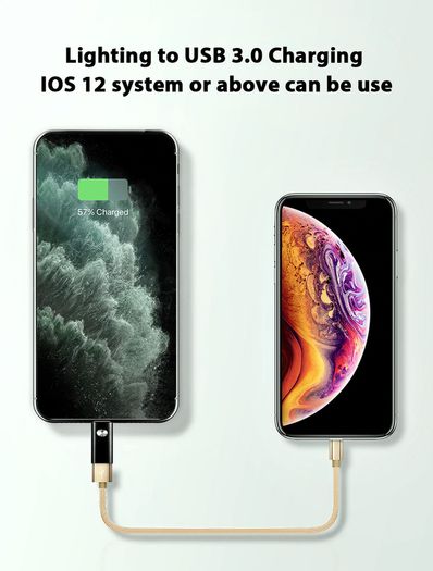 !ACCEZZ Apple OTG Lightning (Male) to USB Type-A (Female) Adapter/Convertor (Brand New/Warranty)