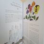 Naturama: Open Your Eyes to the Wonders of Irish Nature by Michael Fewer and Melissa Doran (PT164) Image 8