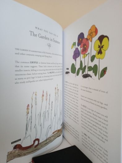 Naturama: Open Your Eyes to the Wonders of Irish Nature by Michael Fewer and Melissa Doran (PT164)