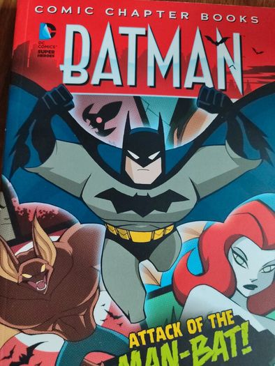 Massive DC & Marvel Comic Collection Batman, Justice League, Spiderman