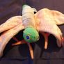 Butterfly Beanie Babies Image 2