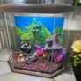 Fish tank with all accessories Image 2